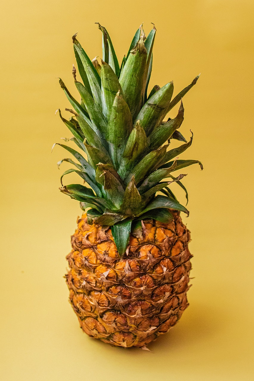 Basketball in Amarillo