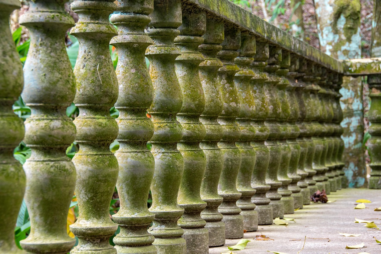 Basketball in Escondido