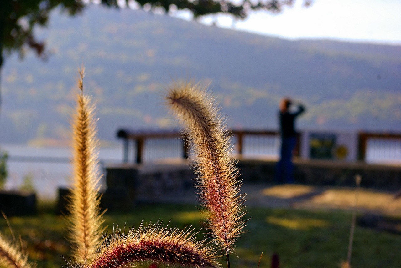 Basketball in Fort Smith