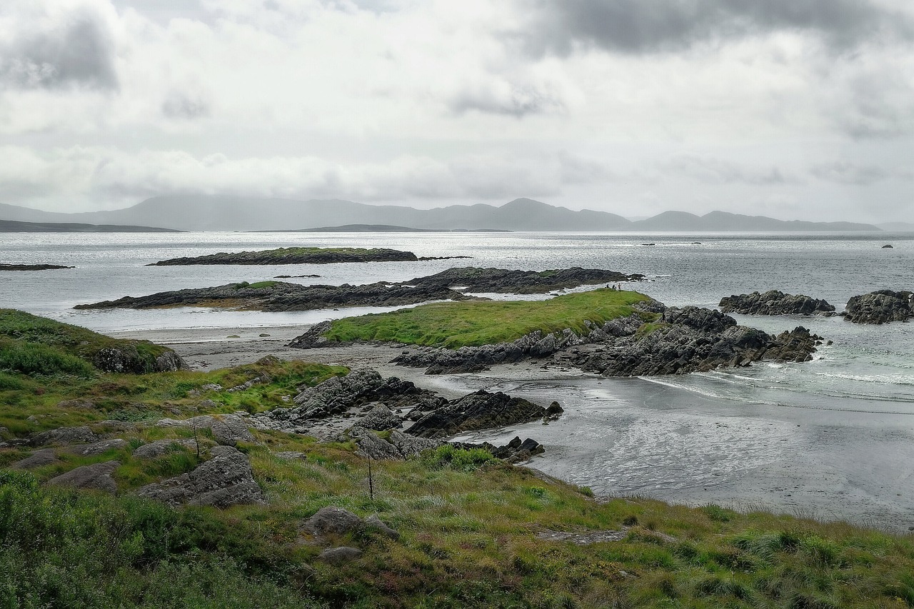 Basketball in Killeen