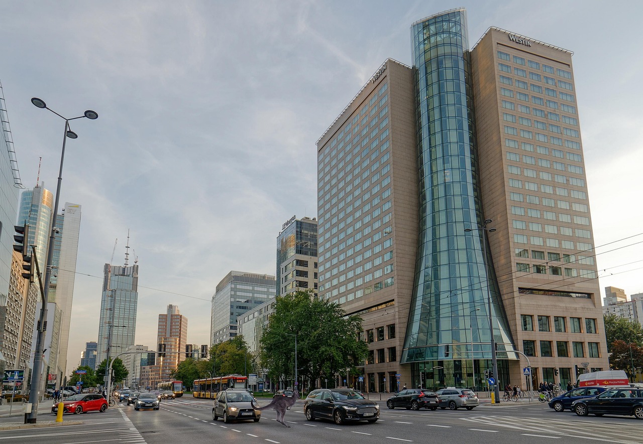 Basketball in Surprise